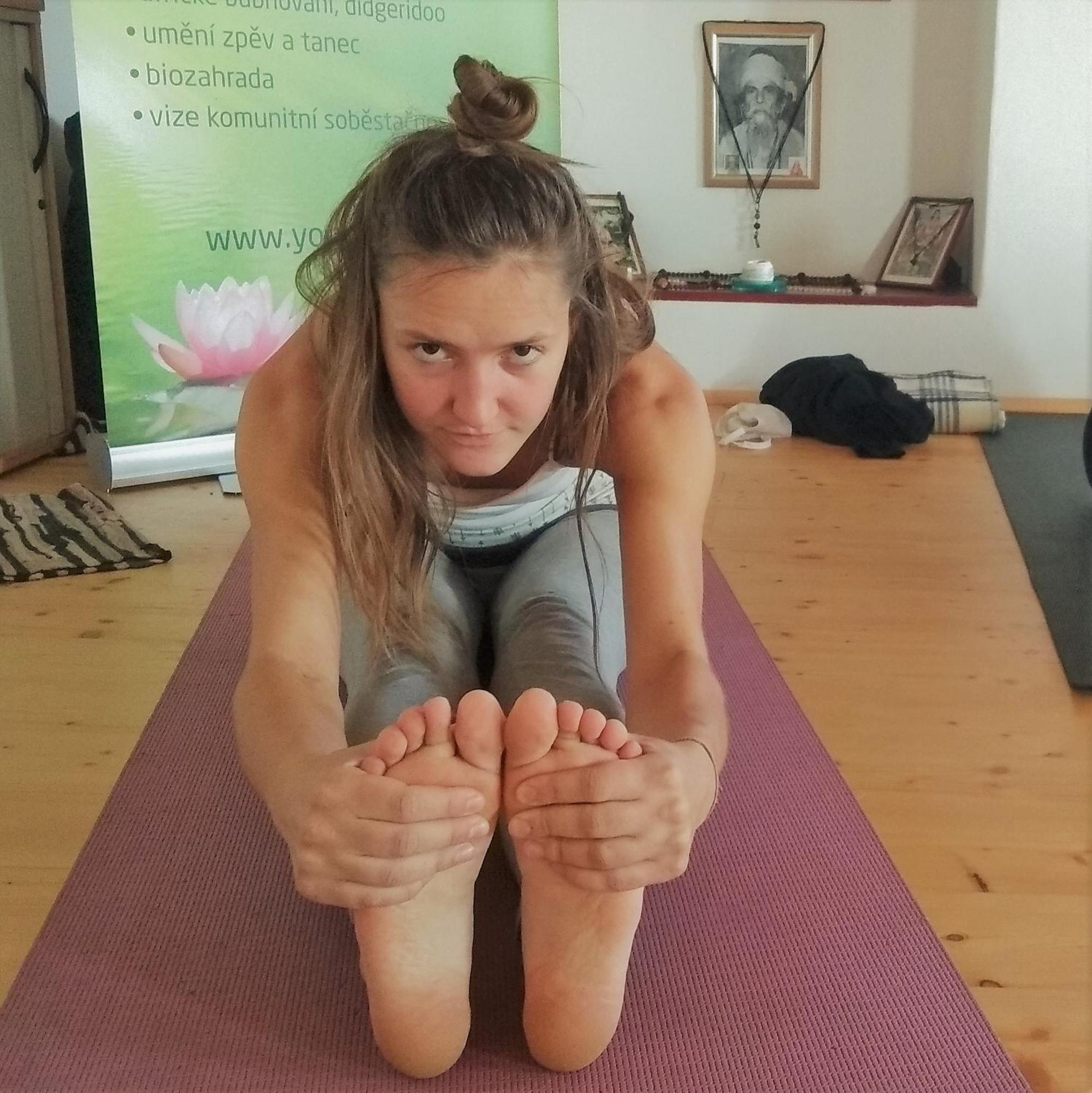 Yogashrama Traditional Ústí nad Orlicí Exteriör bild